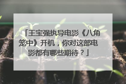 王宝强执导电影《八角笼中》开机，你对这部电影都有哪些期待？