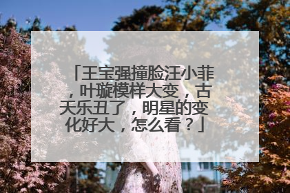 王宝强撞脸汪小菲,叶璇模样大变,古天乐丑了,明星的变化好大,怎么看?