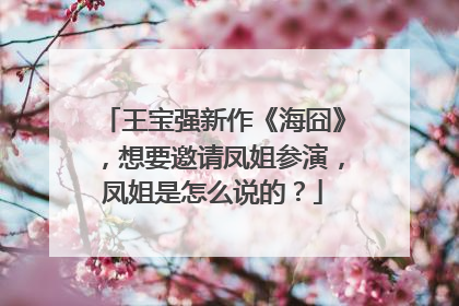 王宝强新作《海囧》,想要邀请凤姐参演,凤姐是怎么说的?