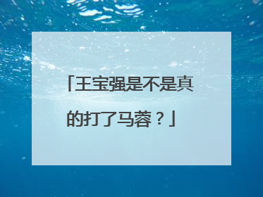 王宝强是不是真的打了马蓉？