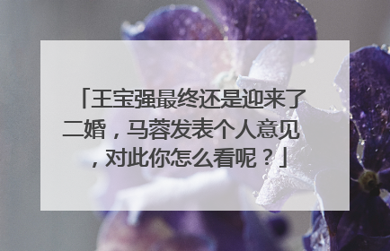 王宝强最终还是迎来了二婚，马蓉发表个人意见，对此你怎么看呢？