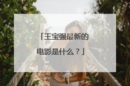 王宝强最新的电影是什么?