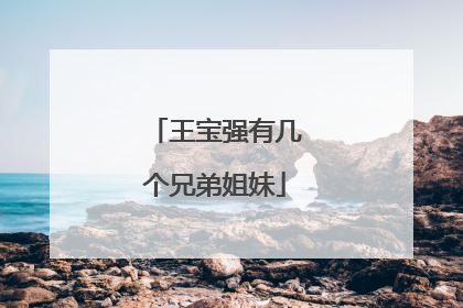 王宝强有几个兄弟姐妹