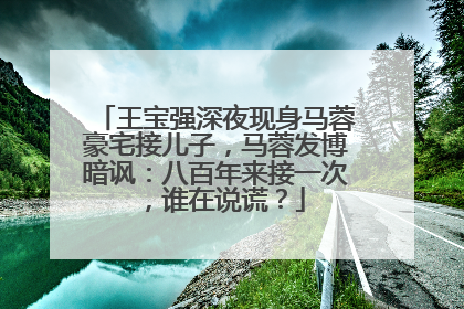 王宝强深夜现身马蓉豪宅接儿子，马蓉发博暗讽：八百年来接一次，谁在说谎？