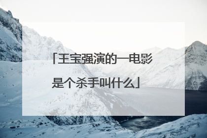 王宝强演的一电影是个杀手叫什么