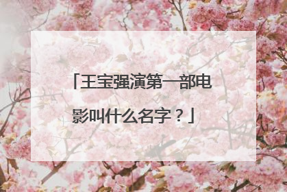 王宝强演第一部电影叫什么名字?
