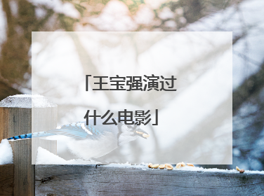 王宝强演过什么电影