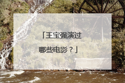 王宝强演过哪些电影?