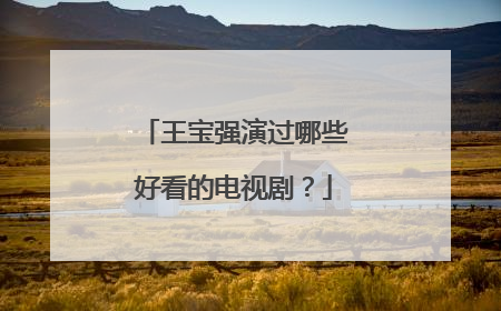 王宝强演过哪些好看的电视剧?