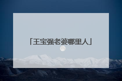 王宝强老婆哪里人