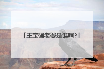 王宝强老婆是谁啊?