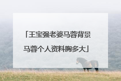 王宝强老婆马蓉背景 马蓉个人资料胸多大