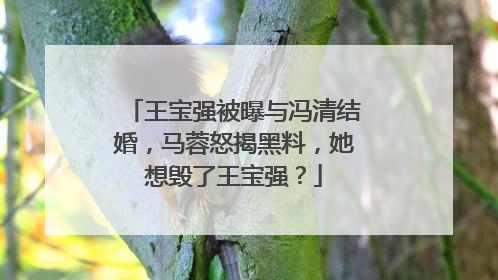 王宝强被曝与冯清结婚，马蓉怒揭黑料，她想毁了王宝强？