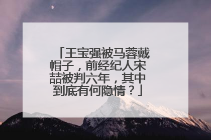 王宝强被马蓉戴帽子,前经纪人宋喆被判六年,其中到底有何隐情?