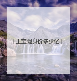 王宝强身价多少亿