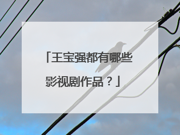 王宝强都有哪些影视剧作品?