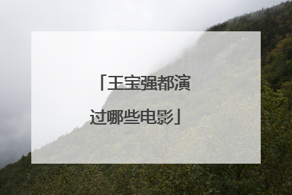 王宝强都演过哪些电影