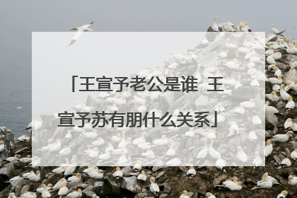 王宣予老公是谁 王宣予苏有朋什么关系