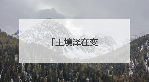 王境泽在变形计哪期？