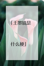 王墨镜是什么梗