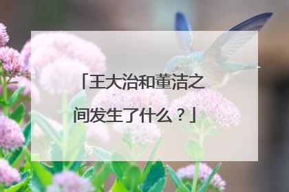 王大治和董洁之间发生了什么？