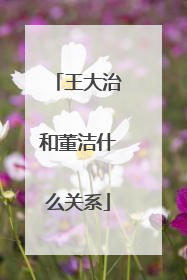 王大治和董洁什么关系