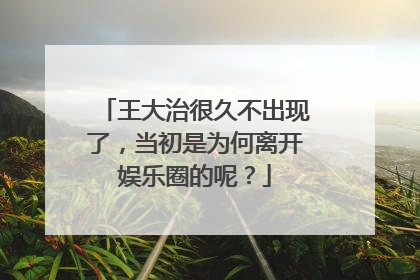 王大治很久不出现了，当初是为何离开娱乐圈的呢？