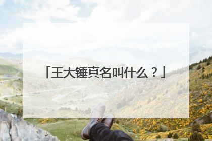 王大锤真名叫什么？