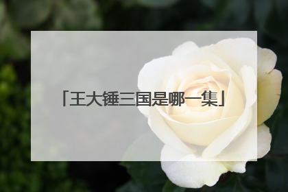 王大锤三国是哪一集