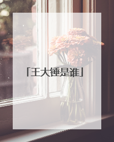 王大锤是谁