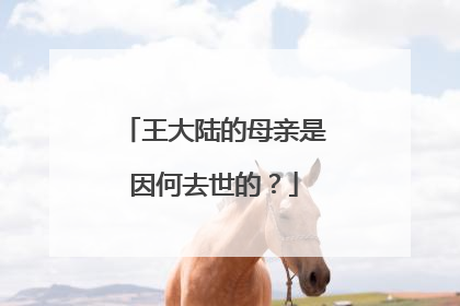 王大陆的母亲是因何去世的？
