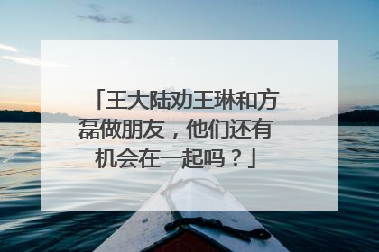 王大陆劝王琳和方磊做朋友,他们还有机会在一起吗?