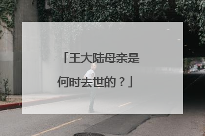 王大陆母亲是何时去世的?