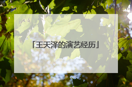 王天泽的演艺经历