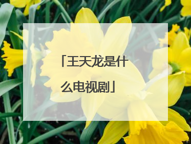 王天龙是什么电视剧