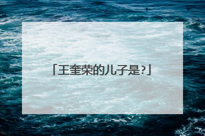 王奎荣的儿子是?