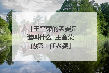 王奎荣的老婆是谁叫什么 王奎荣的第三任老婆