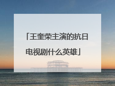 王奎荣主演的抗日电视剧什么英雄