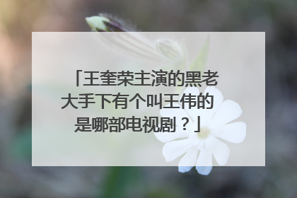 王奎荣主演的黑老大手下有个叫王伟的是哪部电视剧？