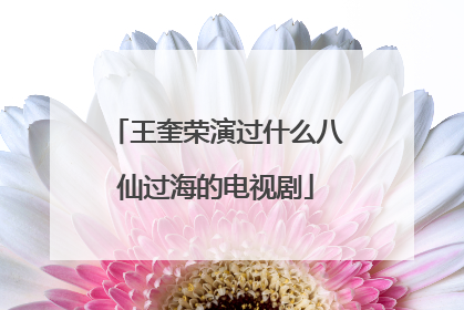 王奎荣演过什么八仙过海的电视剧