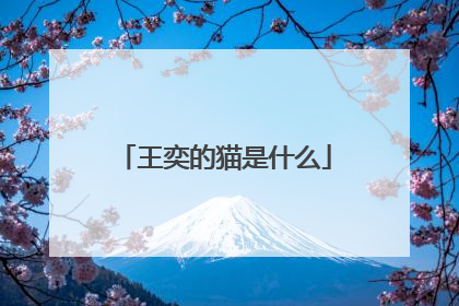 王奕的猫是什么