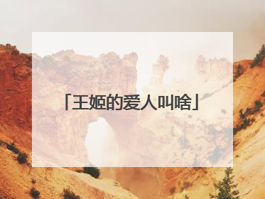 王姬的爱人叫啥