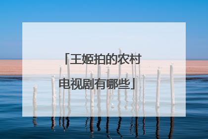 王姬拍的农村电视剧有哪些