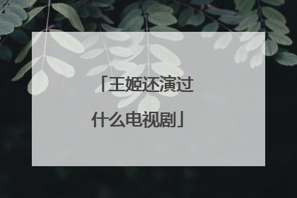 王姬还演过什么电视剧