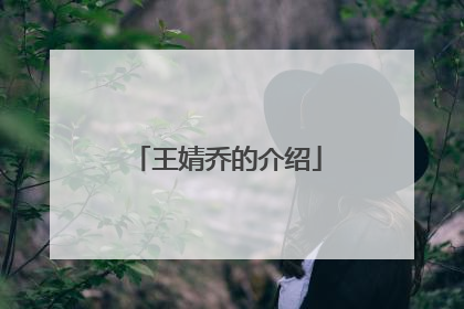 王婧乔的介绍