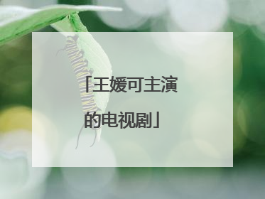 王媛可主演的电视剧