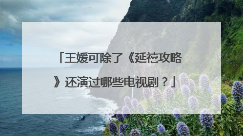 王媛可除了《延禧攻略》还演过哪些电视剧？