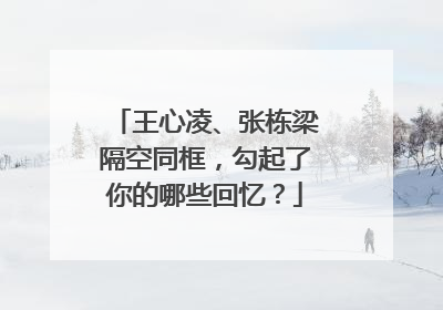 王心凌、张栋梁隔空同框,勾起了你的哪些回忆?
