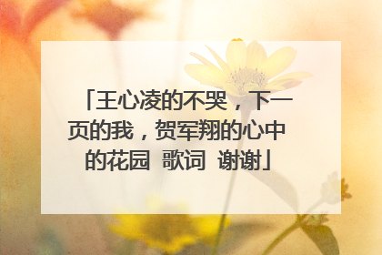 王心凌的不哭,下一页的我,贺军翔的心中的花园 歌词 谢谢