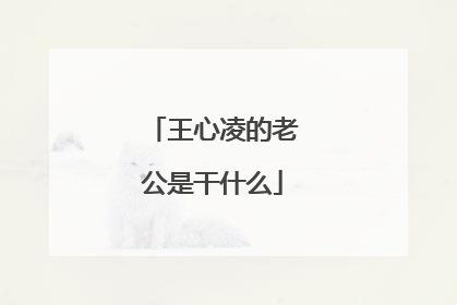 王心凌的老公是干什么